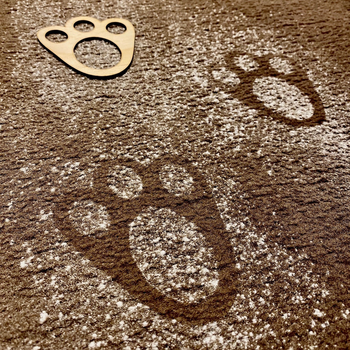 Wooden Easter Bunny Footprint Stencil